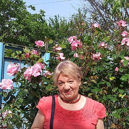 �������, ����, 66 ���