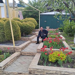 ���� ����, �������, 49 ��� - ��������� 29 ���� 2023