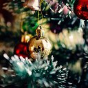 ���� ��������, ������� ��������, 79 ��� - ��������� 8 ���� 2023