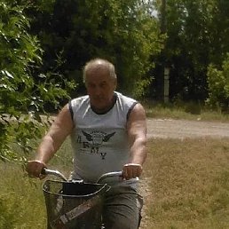 ���������, �������, 55 ���