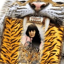 �������, ������, 50 ���