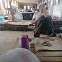 ���� �������, ������, 56 ��� - ��������� 4 ������� 2023 � ������ ���� ����������