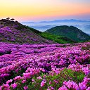 ���� ��������, �����, 23 ���� - ��������� 15 ���� 2023