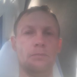 ������, �������, 40 ���