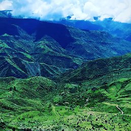 ����, ������, 23 ����