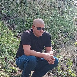 �������, ������, 38 ���