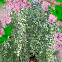 ���� �������, ������, 64 ���� - ��������� 17 ������� 2023 � ������ ���� ����������