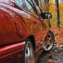 ���� ������, ������, 40 ��� - ��������� 11 �������� 2023 � ������ ���� ����������