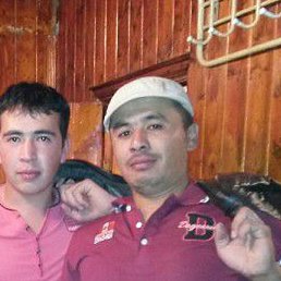 ������, ������, 43 ����