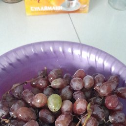 ����, ������, 94 ����