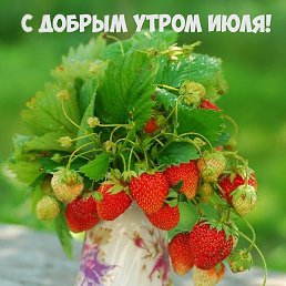 ���������������365�6�5���, ���������, 62 ����