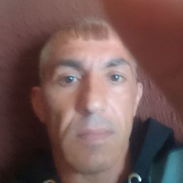 ����, �������, 42 ����