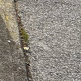 ������, ������, 25 ���