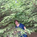 ���� �����, ������������, 56 ��� - ��������� 11 ���� 2023