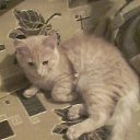 ���� Aleksandr, �������, 42 ���� - ��������� 1 ����� 2023