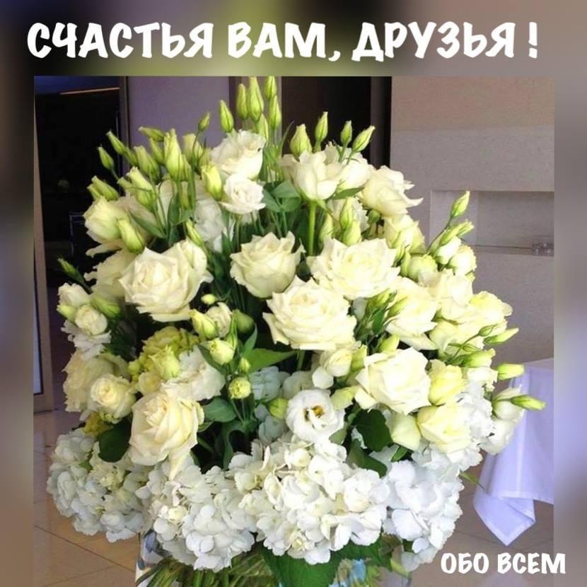 Далеко в горах жил один старец, и когда у него умерла жена он замкнулся и перестал выходить в ...