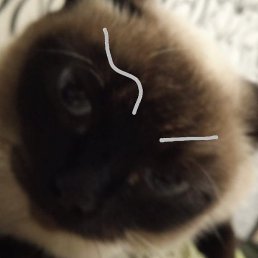 �����, ������, 42 ����