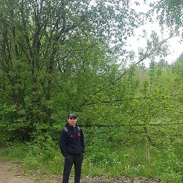 ����, ������, 41 ���