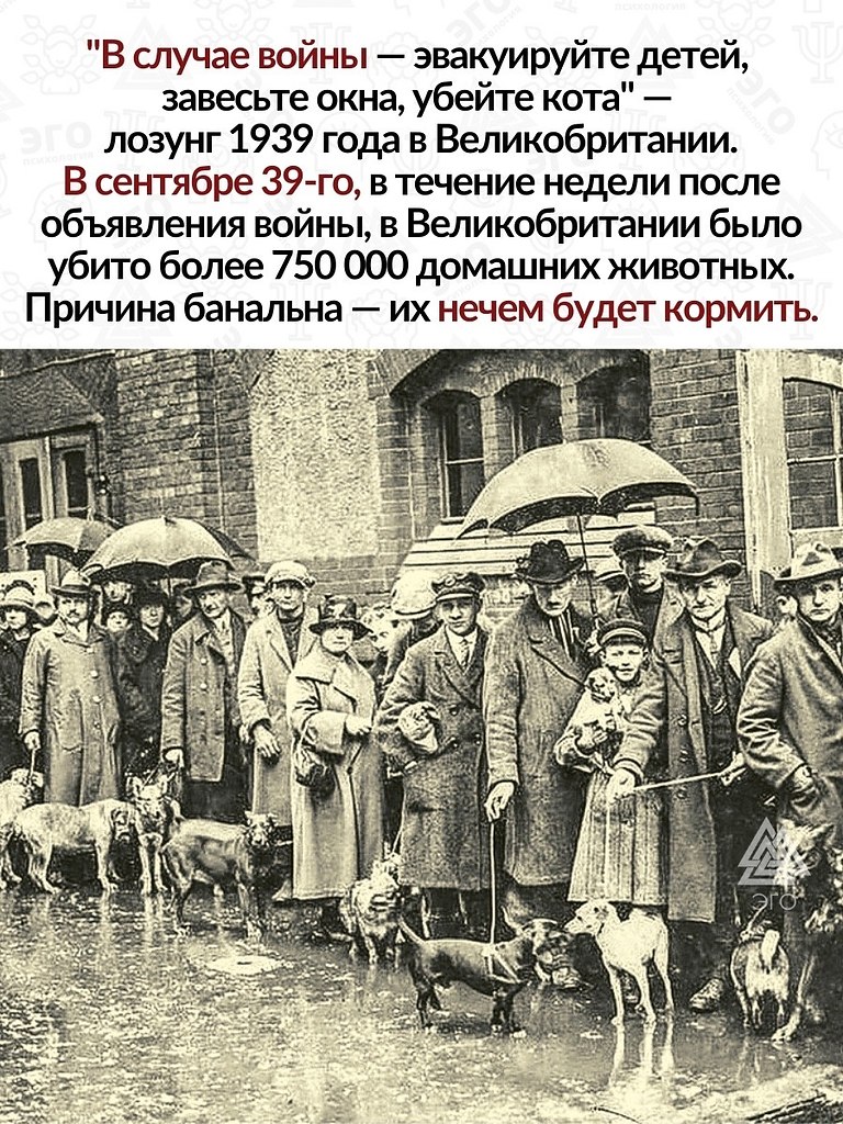 Здорово, что в наше время отношение к животным вышло на ... | ЭГО ...