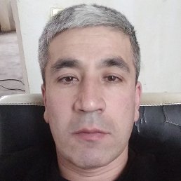 �����, �����-���������, 43 ����