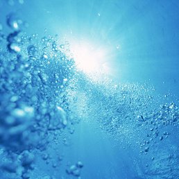 ������, �����������, 55 ���