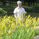 ���� ���� �����������, ��������, 81 ��� - ��������� 29 ��� 2023