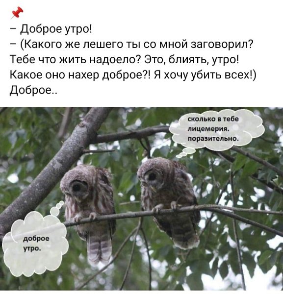 ***Victoria Viktorovna*** - 11  2023  06:35