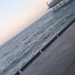 ���� ������, ������, 37 ��� - ��������� 14 �������� 2023