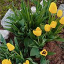 ���� El, ������ - ��������� 13 ��� 2023 � ������ ������ ��������