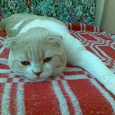 ���� ����, ������, 25 ��� - ��������� 29 ���� 2023 � ������ ���� ����������