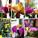 ���� �@ks, �����������, 45 ��� - ��������� 7 ������� 2023 � ������ ������ ��������