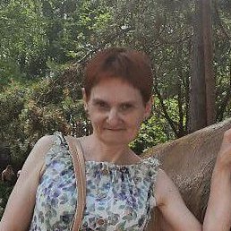 �����, ����������, 54 ����