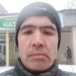 ���������, ����, 43 ����