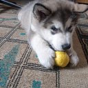 ���� ���������, �������, 35 ��� - ��������� 17 ������� 2023 � ������ ���� ����������