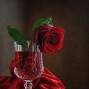 ���� �����, �����-���������, 33 ���� - ��������� 15 ����� 2023 � ������ ���� ����������