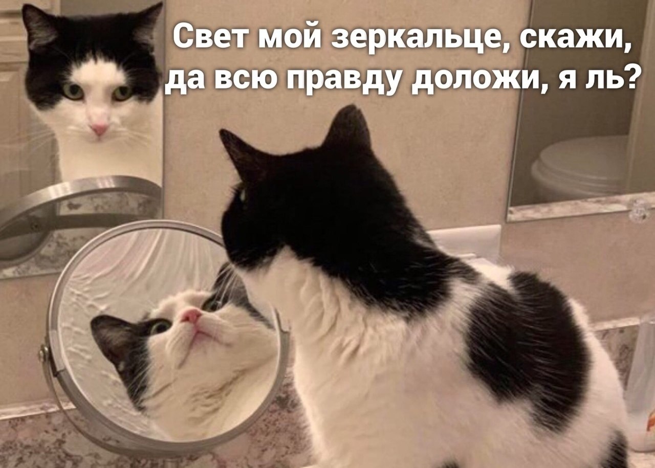 ������� � ����)