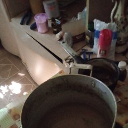 ���� ������, ������, 48 ��� - ��������� 6 �������� 2023