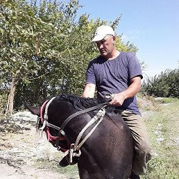 �������, ������, 50 ���