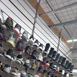 ����, �����������, 41 ���