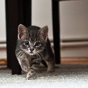 ���� ���������, �����, 50 ��� - ��������� 27 ����� 2023 � ������ ���� ����������