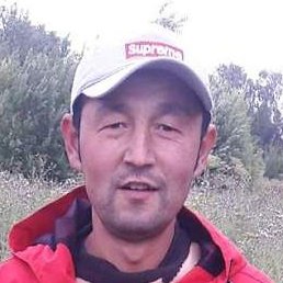 ���������, ������, 36 ���