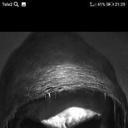 ������, ������, 38 ���