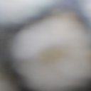 ���� Zuxriddin, �����, 24 ���� - ��������� 12 ������� 2023 � ������ ���� ����������