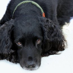 ������, ��������, 48 ���