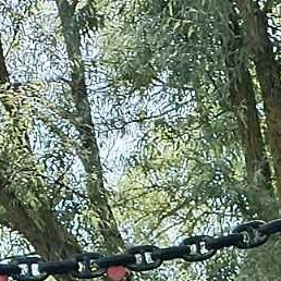 ��������, �����, 49 ���