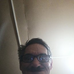 ,  , 53 