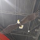 ���� ������, ������, 44 ���� - ��������� 5 ���� 2023 � ������ ���� ����������
