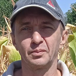 �������, ����������, 50 ���