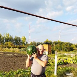 ��������, ������, 63 ����