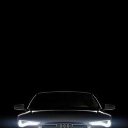 ������, ������, 41 ���